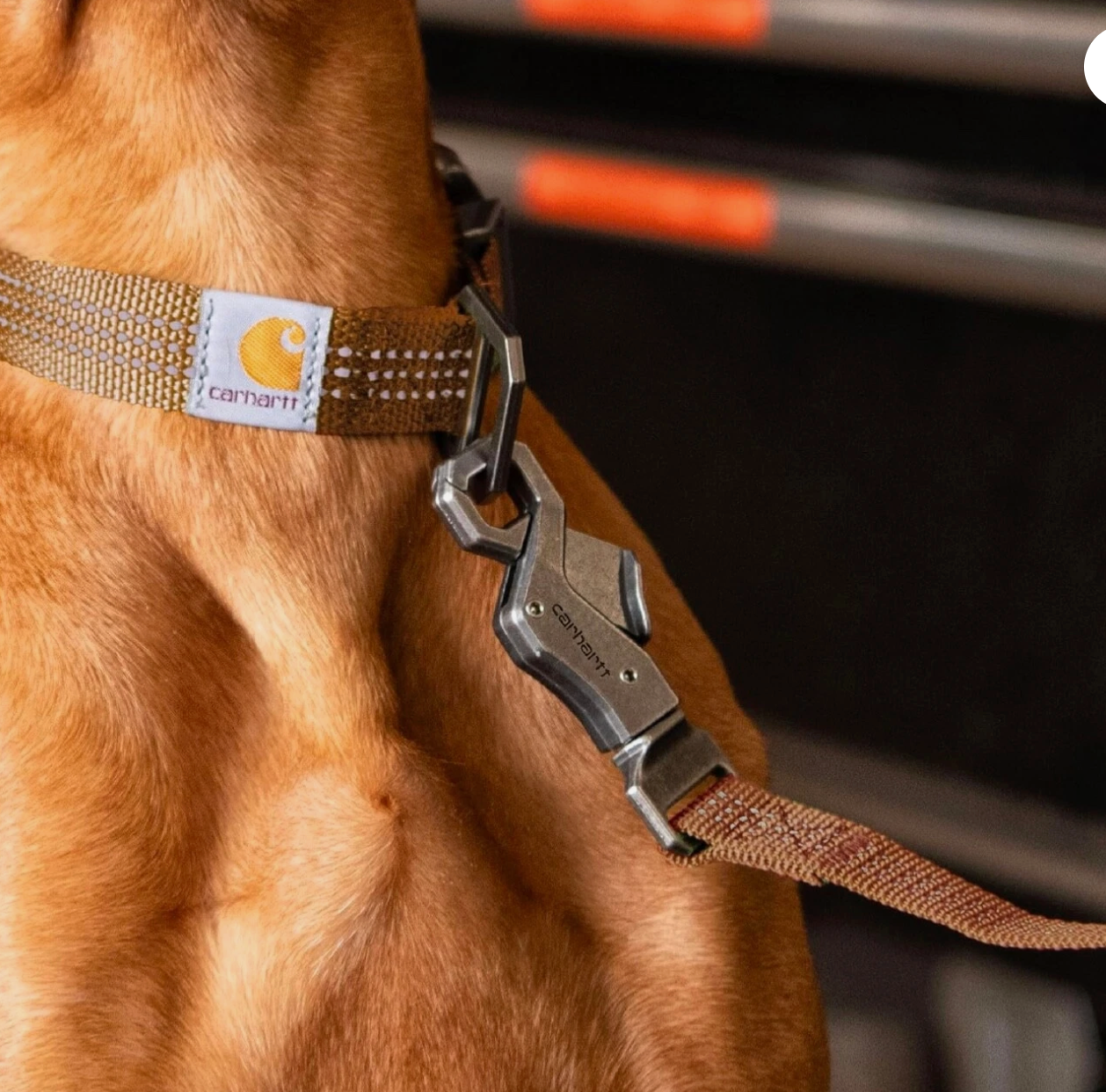 Carhartt Black Reflective Dog Leash
